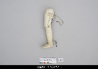 藏品(人形淨琉璃一組-左腳)的圖片